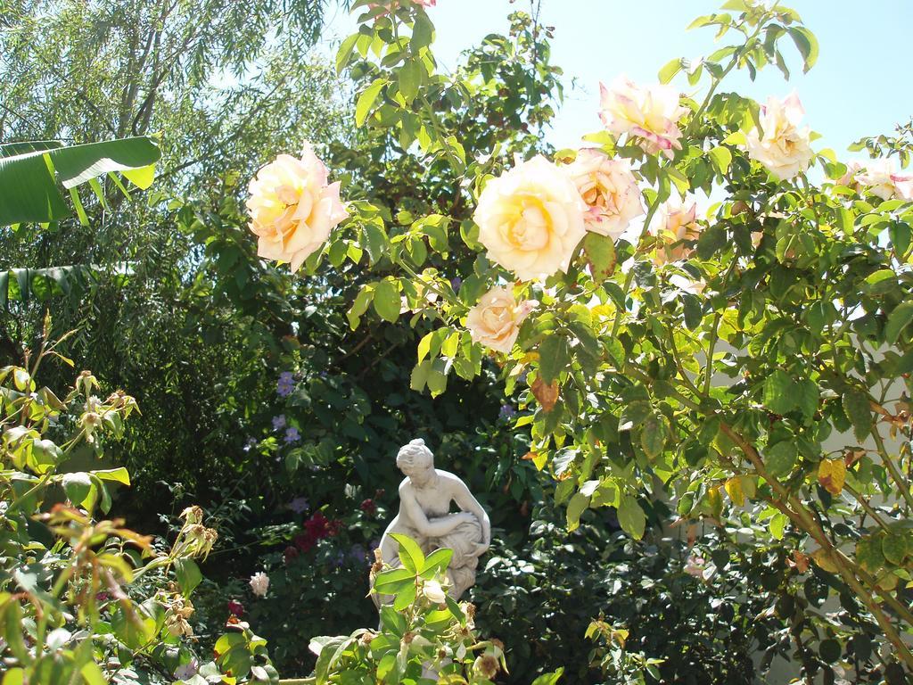 Вілла Mi Jardin Фронтера Екстер'єр фото